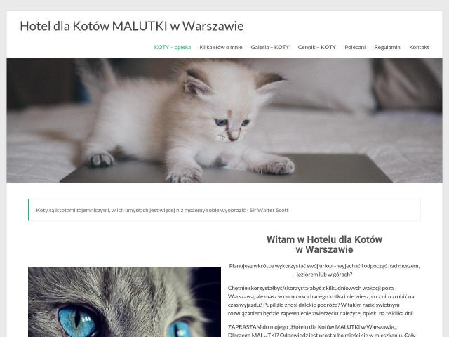 Zobacz Hotel dla Kotów MALUTKI